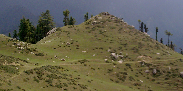 Green Karsog Valley Mandi District Himachal Pradesh