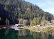 Nargu Wildlife Sanctuary Barot Nargu Wildlife Sanctuary Barot Mandi Himachal Pradesh