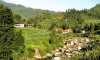 Thunag Valley Mandi District Himachal Pradesh